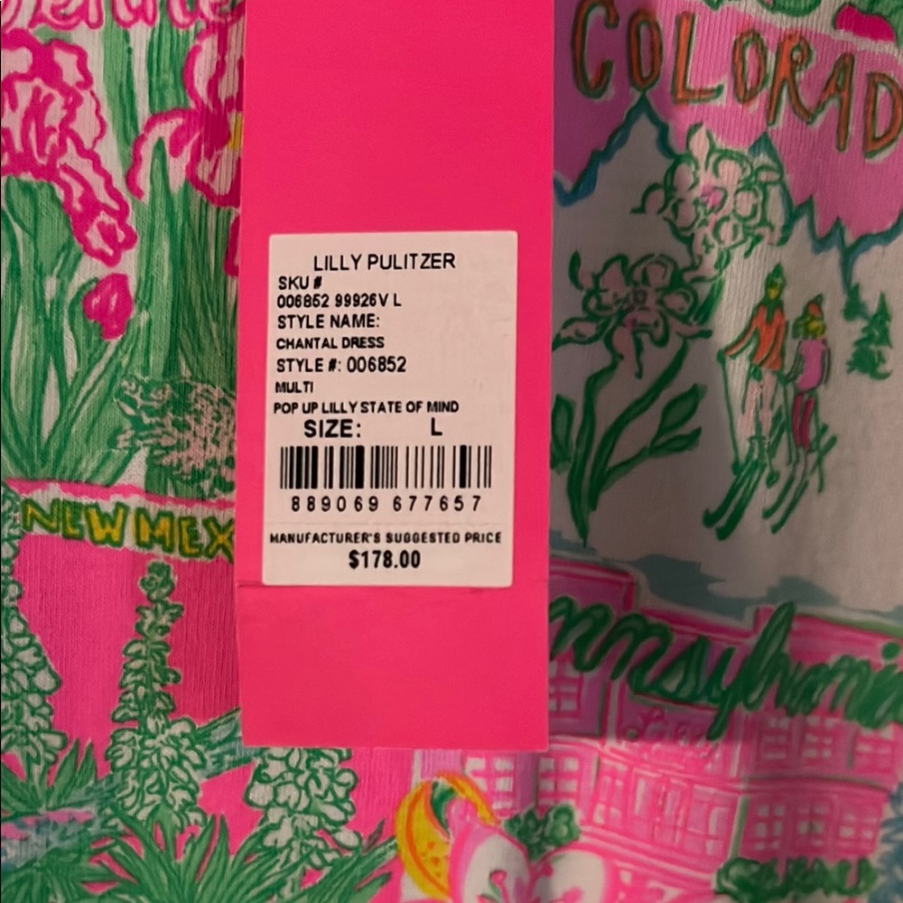 Lilly Pulitzer Chantel Dress State of Mind size L NWT - Picture 3 of 3